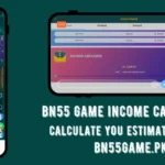 bn55 income calculator